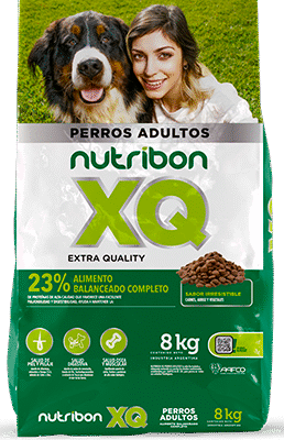 Nutribon XQ - Perros Adultos