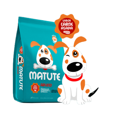 Matute - Perros Adultos