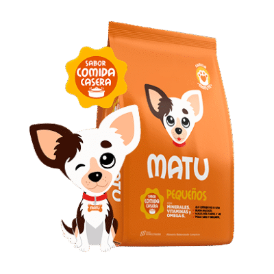 Matu - Perros Razas Pequeñas